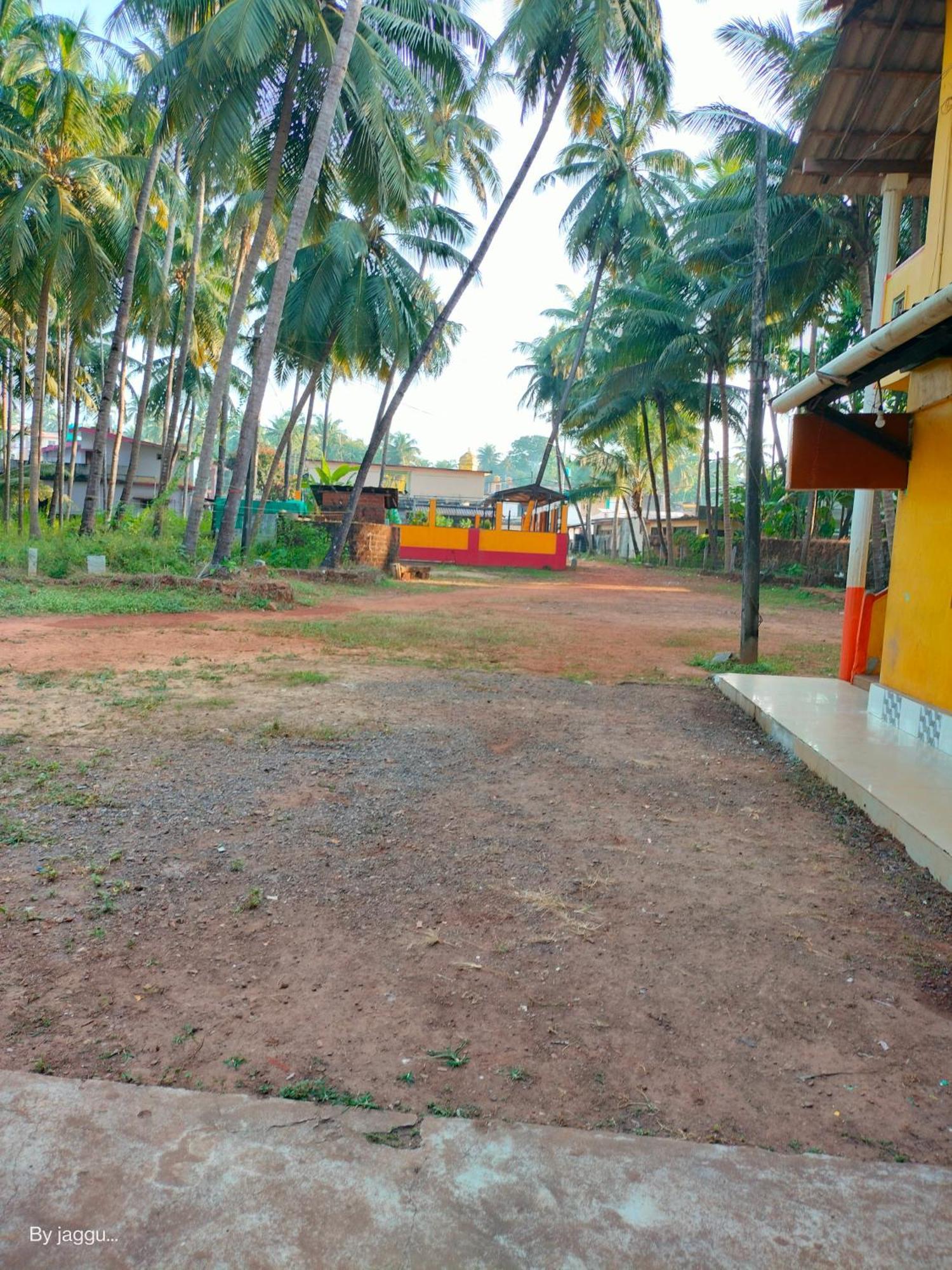 Totadamane Farm House Villa Mavalli Ngoại thất bức ảnh